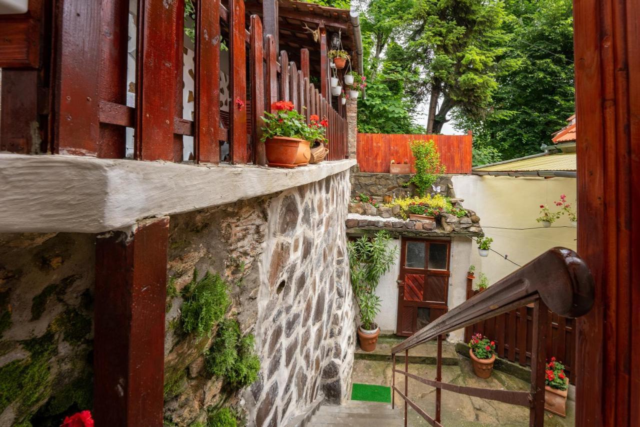 Gloria Apartments Sighişoara Extérieur photo