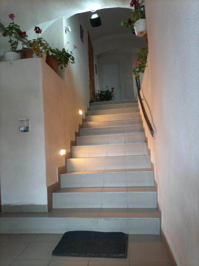Gloria Apartments Sighişoara Extérieur photo